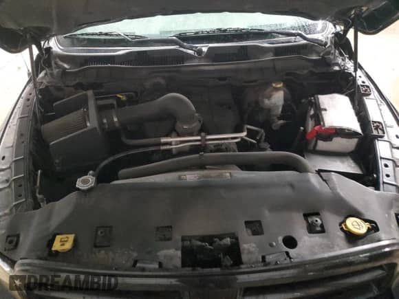 2010 Dodge 1500 SLT с VIN 1D7RV1GT1AS123297, выставлен на аукционе Copart как лот 81376094 с пробегом 218 511 миль миль и Чистый • Clean title. История ставок и продаж доступна на DreamBid. Изображение 11.