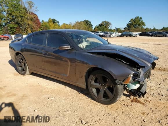 2014 Dodge Charger SXT Plus z VIN 2C3CDXHG1EH202154, wystawiony jako Copart lot #82579975 z przebiegiem 182 563 mil mil oraz Szkoda całkowita • Salvage title. Historia ofert i sprzedaży dostępna na DreamBid. Obrazek 4.