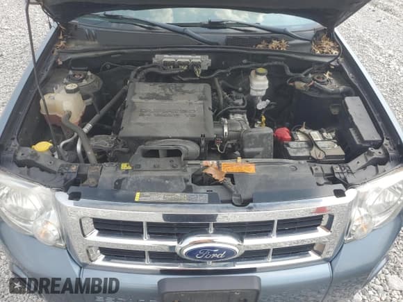 ✅ 2011 Ford Escape XLT • VIN: 1FMCU9DG3BKB02232 • Лот: 61019335. Опубликован ранее на Copart с пробегом 94 598 миль. Бесплатный доступ к архиву аукционных продаж из США и подробный отчёт об истории автомобиля на DreamBid. Изображение 12.