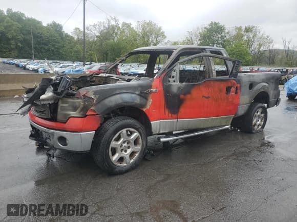 ✅ 2014 Ford F-150 XLT • VIN: 1FTFX1EF8EKF85981 • Lot: 83810265. Wystawiony na Copart z przebiegiem Nie podano. Bezpłatny archiwum sprzedaży aukcyjnych z USA i szczegółowy raport historii pojazdu na DreamBid. Zdjęcie 1.