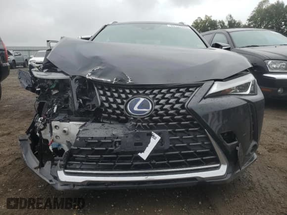 ✅ 2019 Lexus UX 250h • VIN: JTHU9JBH3K2003030 • Lot: 80153925. Listed on Copart with 66,160 mi. Free auction sales archive from the USA and detailed vehicle history report at DreamBid. Image 5.