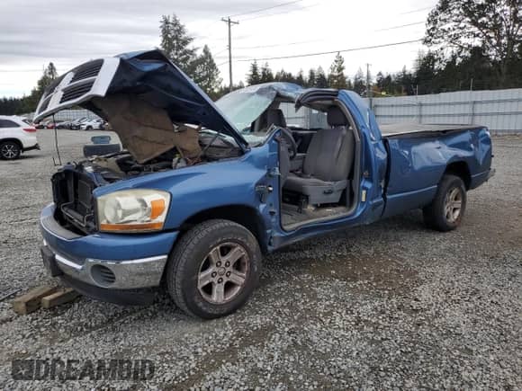✅ 2006 Dodge 1500 ST • VIN: 1D7HA16226J151607 • Лот: 73035124. Размещён на Copart с пробегом Не указан миль. Получите бесплатный доступ к архиву аукционных продаж из США и посмотрите подробный отчёт об истории автомобиля на DreamBid. Изображение 1.