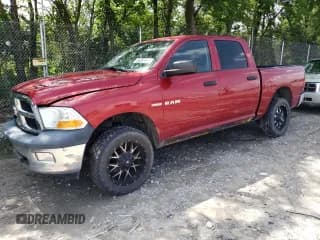 ✅ 2010 Dodge 1500 Sport • VIN: 1D7RV1CT5AS136799 • Lot: 59357065. Wystawiony na Copart z przebiegiem 216 790 mil. Bezpłatny archiwum sprzedaży aukcyjnych z USA i szczegółowy raport historii pojazdu na DreamBid. Zdjęcie 1.