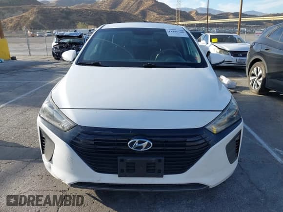 ✅ 2019 Hyundai Ioniq Blue • VIN: KMHC65LC1KU174438 • Lot: 41490500. Wystawiony na IAAI z przebiegiem Nie podano. Bezpłatny archiwum sprzedaży aukcyjnych z USA i szczegółowy raport historii pojazdu na DreamBid. Zdjęcie 11.