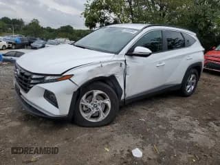 ✅ 2022 Hyundai Tucson SEL • VIN: 5NMJBCAE9NH127573 • Lot: 73833384. Wystawiony na Copart z przebiegiem 18 446 mil. Bezpłatny archiwum sprzedaży aukcyjnych z USA i szczegółowy raport historii pojazdu na DreamBid. Zdjęcie 1.
