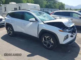 2024 Hyundai Tucson Limited with VIN KM8JECD14RU234606, listed as a IAAI auction lot 42527876 with 11,518 mi miles and . Bid and sale history available at DreamBid. Image 1.