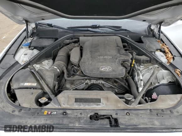 ✅ 2016 Hyundai Genesis 3.8L • VIN: KMHGN4JE4GU112283 • Lot: 86203464. Wystawiony na Copart z przebiegiem 205 766 mil. Bezpłatny archiwum sprzedaży aukcyjnych z USA i szczegółowy raport historii pojazdu na DreamBid. Zdjęcie 11.