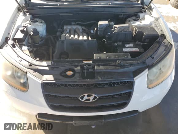 ✅ 2009 Hyundai Santa Fe GLS • VIN: 5NMSG13D89H273838 • Lot: 82145124. Listed on Copart with 130,417 mi. Free auction sales archive from the USA and detailed vehicle history report at DreamBid. Image 12.