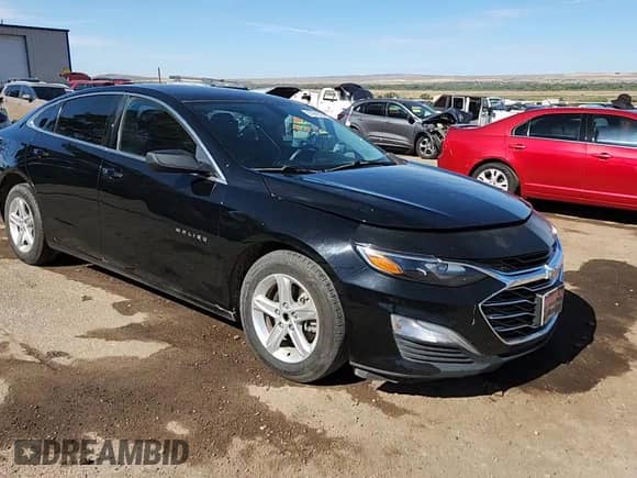 ✅ 2019 Chevrolet Malibu LS • VIN: 1G1ZB5ST4KF126490 • Lot: 67961035. Wystawiony na Copart z przebiegiem 116 455 mil. Bezpłatny archiwum sprzedaży aukcyjnych z USA i szczegółowy raport historii pojazdu na DreamBid. Zdjęcie 13.