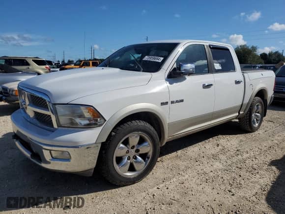 2010 Dodge 1500 Laramie with VIN 1D7RV1CT5AS161248, listed as a Copart auction lot 73959694 with Not provided miles and Salvage title. Bid and sale history available at DreamBid. Image 1.