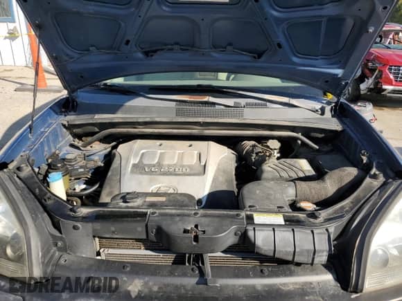 2005 Hyundai Tucson GLS z VIN KM8JN12D15U088774, wystawiony jako Copart lot #73596624 z przebiegiem 184 330 mil mil oraz Szkoda całkowita • Salvage title. Historia ofert i sprzedaży dostępna na DreamBid. Obrazek 12.