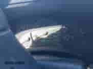 2000 Chevrolet Silverado 2500 с VIN 1GCGK24UXYE337355, выставлен на аукционе IAAI как лот 41631115 с пробегом 134 216 миль миль и . История ставок и продаж доступна на DreamBid. Изображение 7.