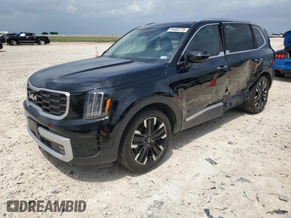 ✅ 2024 Kia Telluride SX • VIN: 5XYP54GC0RG476232 • Lot: 54453775. Wystawiony na Copart z przebiegiem 26 025 mil. Bezpłatny archiwum sprzedaży aukcyjnych z USA i szczegółowy raport historii pojazdu na DreamBid. Zdjęcie 1.