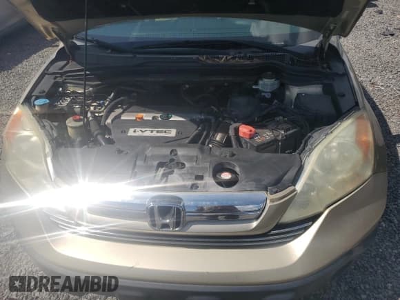 ✅ 2009 Honda CR-V EX • VIN: 5J6RE38529L028740 • Lot: 84172995. Listed on Copart with 121,947 mi. Free auction sales archive from the USA and detailed vehicle history report at DreamBid. Image 12.