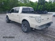 ✅ 2009 Ford F-150 XL • VIN: 1FTPW14VX9KB41670 • Lot: 42246163. Listed on IAAI with 214,499 mi. Free auction sales archive from the USA and detailed vehicle history report at DreamBid. Image 3.