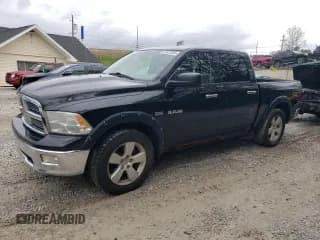 ✅ 2009 Dodge 1500 SLT • VIN: 1D3HV13T19S702739 • Lot: 55923585. Wystawiony na Copart z przebiegiem 125 251 mil. Bezpłatny archiwum sprzedaży aukcyjnych z USA i szczegółowy raport historii pojazdu na DreamBid. Zdjęcie 1.