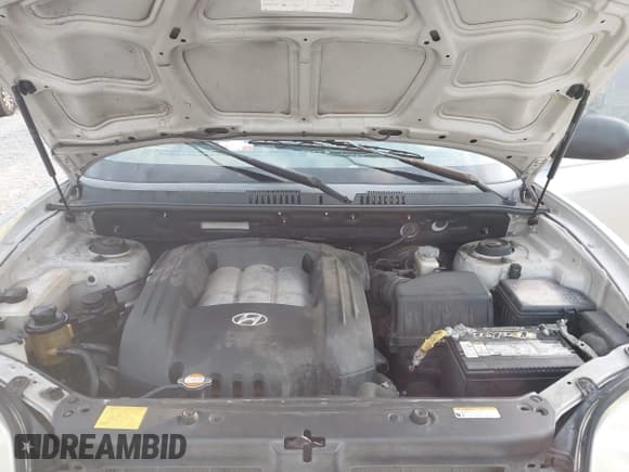 ✅ 2006 Hyundai Santa Fe GLS • VIN: KM8SC13D56U070286 • Lot: 43765985. Listed on IAAI with 123,169 mi. Free auction sales archive from the USA and detailed vehicle history report at DreamBid. Image 10.