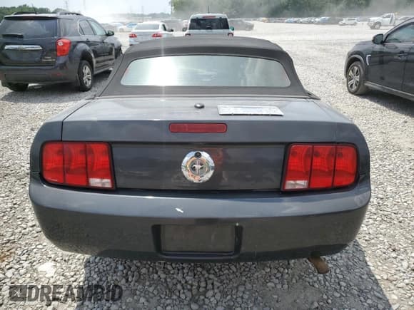 ✅ 2009 Ford Mustang • VIN: 1ZVHT84N895121810 • Лот: 65813815. Опубликован ранее на Copart с пробегом Не указан. Бесплатный доступ к архиву аукционных продаж из США и подробный отчёт об истории автомобиля на DreamBid. Изображение 6.
