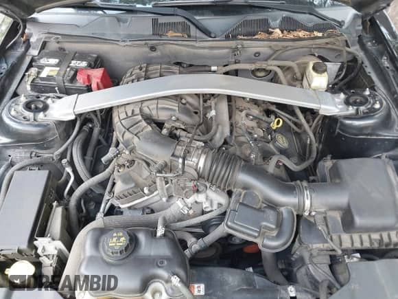 2014 Ford Mustang V6 с VIN 1ZVBP8EM4E5325594, выставлен на аукционе IAAI как лот 42717148 с пробегом 102 386 миль миль и . История ставок и продаж доступна на DreamBid. Изображение 10.