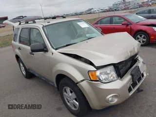 ✅ 2011 Ford Escape XLT • VIN: 1FMCU0D76BKB27668 • Lot: 43641517. Listed on IAAI with Not provided. Free auction sales archive from the USA and detailed vehicle history report at DreamBid. Image 1.