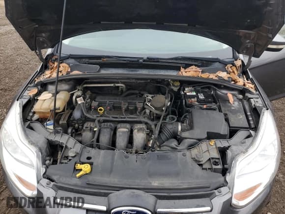 ✅ 2014 Ford Focus SE • VIN: 1FADP3F22EL449067 • Лот: 93537665. Опубликован ранее на Copart с пробегом 150 864 миль. Бесплатный доступ к архиву аукционных продаж из США и подробный отчёт об истории автомобиля на DreamBid. Изображение 11.