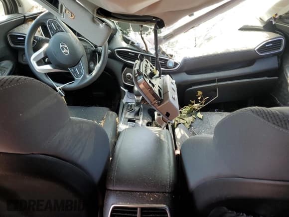 ✅ 2019 Hyundai Santa Fe SE • VIN: 5NMS2CAD5KH003033 • Lot: 59199804. Wystawiony na Copart z przebiegiem Nie podano. Bezpłatny archiwum sprzedaży aukcyjnych z USA i szczegółowy raport historii pojazdu na DreamBid. Zdjęcie 8.