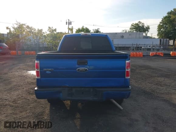 ✅ 2009 Ford F-150 STX • VIN: 1FTRX14809FA05539 • Lot: 43324601. Listed on IAAI with 185,988 mi. Free auction sales archive from the USA and detailed vehicle history report at DreamBid. Image 6.