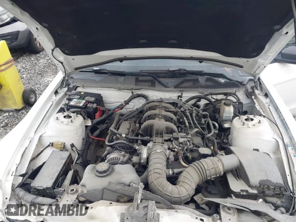 ✅ 2010 Ford Mustang V6 • VIN: 1ZVBP8AN0A5170633 • Лот: 43847496. Опубликован ранее на IAAI с пробегом 119 526 миль. Бесплатный доступ к архиву аукционных продаж из США и подробный отчёт об истории автомобиля на DreamBid. Изображение 10.