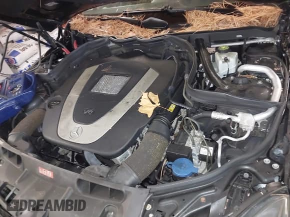 ✅ 2012 Mercedes-Benz C 300 Sport • VIN: WDDGF8BB2CR195891 • Lot: 43831605. Listed on IAAI with Not provided. Free auction sales archive from the USA and detailed vehicle history report at DreamBid. Image 10.