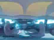 2022 Chevrolet Malibu LT с VIN 1G1ZD5STXNF143471, выставлен на аукционе Copart как лот 67862275 с пробегом 62 359 миль миль и Списание • Salvage title. История ставок и продаж доступна на DreamBid. Изображение 14.