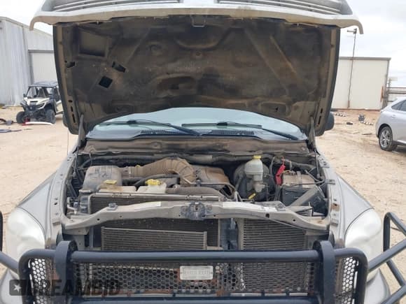 ✅ 2009 Dodge 2500 SLT • VIN: 3D7KS28T19G551727 • Лот: 42206638. Опубликован ранее на IAAI с пробегом 237 005 миль. Бесплатный доступ к архиву аукционных продаж из США и подробный отчёт об истории автомобиля на DreamBid. Изображение 10.