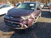 ✅ 2016 Toyota RAV4 XLE • VIN: 2T3RFREV8GW514487 • Лот: 43818285. Опубликован ранее на IAAI с пробегом 68 328 миль. Бесплатный доступ к архиву аукционных продаж из США и подробный отчёт об истории автомобиля на DreamBid. Изображение 6.