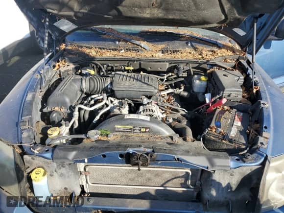 2006 Dodge Dakota SLT with VIN 1D7HW42N26S619350, listed as a Copart auction lot 78678944 with 40,279 mi miles and Clean title. Bid and sale history available at DreamBid. Image 11.