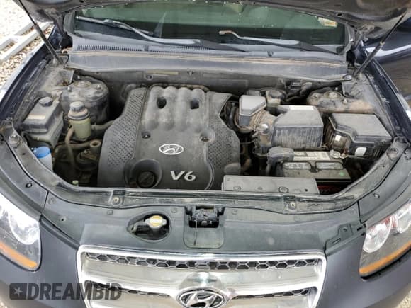 ✅ 2007 Hyundai Santa Fe GLS • VIN: 5NMSG13D77H124009 • Lot: 59670925. Wystawiony na Copart z przebiegiem 179 376 mil. Bezpłatny archiwum sprzedaży aukcyjnych z USA i szczegółowy raport historii pojazdu na DreamBid. Zdjęcie 12.