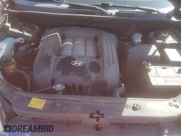 2006 Hyundai Santa Fe GLS с VIN KM8SC73D96U094903, выставлен на аукционе Copart как лот 49484945 с пробегом 180 838 миль миль и Списание • Salvage title. История ставок и продаж доступна на DreamBid. Изображение 12.