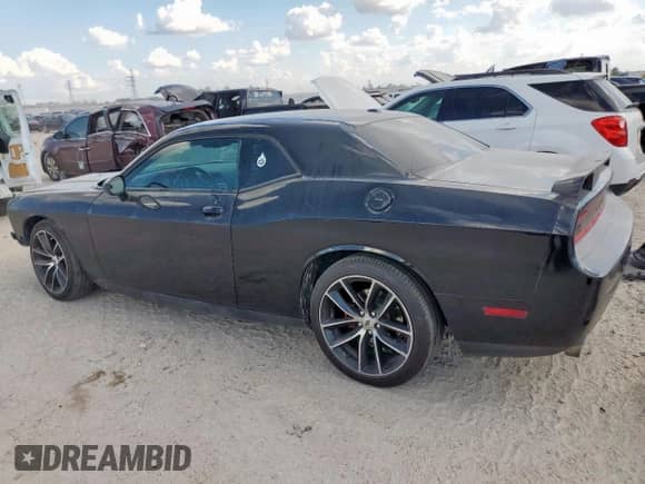 2014 Dodge Challenger R/T with VIN 2C3CDYBT9EH302255, listed as a Copart auction lot 82254105 with 87,940 mi miles and Salvage title. Bid and sale history available at DreamBid. Image 2.