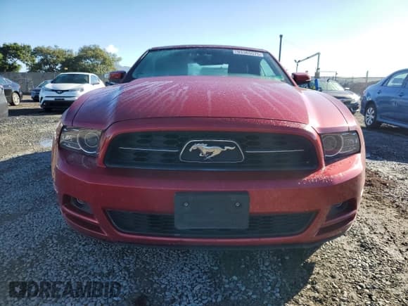✅ 2013 Ford Mustang Premium • VIN: 1ZVBP8EM3D5205848 • Лот: 93385575. Опубликован ранее на Copart с пробегом 132 562 миль. Бесплатный доступ к архиву аукционных продаж из США и подробный отчёт об истории автомобиля на DreamBid. Изображение 5.