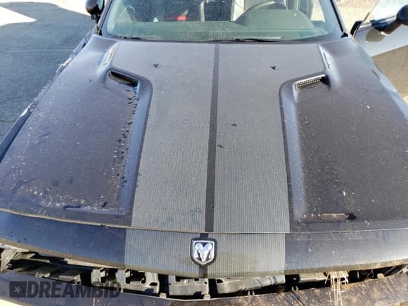 ✅ 2009 Dodge Challenger SRT-8 • VIN: 2B3LJ74W99H549109 • Lot: 42329925. Wystawiony na Copart z przebiegiem 46 142 mil. Bezpłatny archiwum sprzedaży aukcyjnych z USA i szczegółowy raport historii pojazdu na DreamBid. Zdjęcie 13.