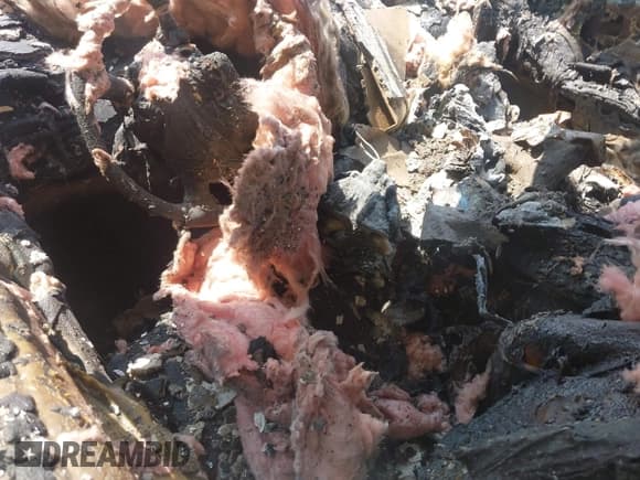 ✅ 1999 Ford Mustang GT • VIN: 1FAFP42X0XF107621 • Lot: 42868649. Listed on IAAI with 53,000 mi. Free auction sales archive from the USA and detailed vehicle history report at DreamBid. Image 11.