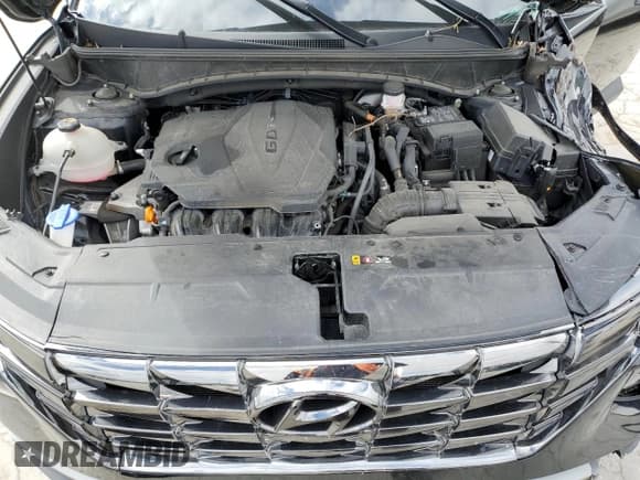 ✅ 2022 Hyundai Tucson SEL • VIN: 5NMJC3AE0NH098459 • Lot: 44813433. Wystawiony na Copart z przebiegiem 42 283 mil. Bezpłatny archiwum sprzedaży aukcyjnych z USA i szczegółowy raport historii pojazdu na DreamBid. Zdjęcie 12.