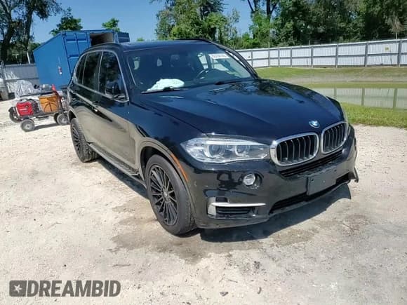 ✅ 2016 BMW X5 sDrive35i • VIN: 5UXKR2C54G0R69634 • Lot: 80704145. Listed on Copart with 137,701 mi. Free auction sales archive from the USA and detailed vehicle history report at DreamBid. Image 14.