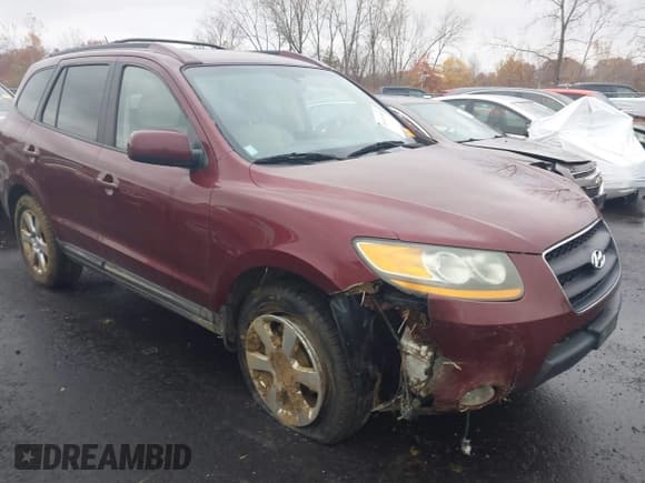 ✅ 2009 Hyundai Santa Fe Limited • VIN: 5NMSH13E59H239863 • Лот: 43649785. Опубликован ранее на IAAI с пробегом 193 058 миль. Бесплатный доступ к архиву аукционных продаж из США и подробный отчёт об истории автомобиля на DreamBid. Изображение 6.