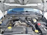 ✅ 2002 Dodge Dakota • VIN: 1B7FL16X62S537717 • Lot: 42261629. Wystawiony na IAAI z przebiegiem Nie podano. Bezpłatny archiwum sprzedaży aukcyjnych z USA i szczegółowy raport historii pojazdu na DreamBid. Zdjęcie 10.