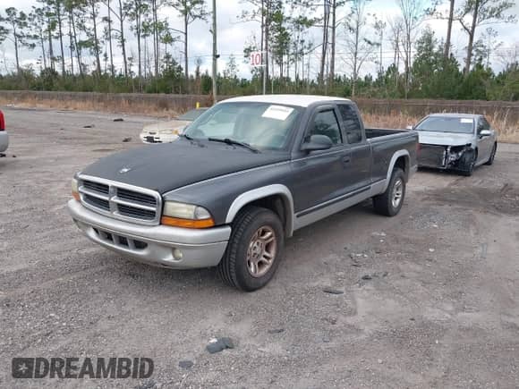 2003 Dodge Dakota SLT with VIN 1D7HL42N63S100130, listed as a IAAI auction lot 41419945 with 185,326 mi miles and . Bid and sale history available at DreamBid. Image 2.