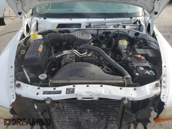 ✅ 1999 Dodge Dakota SLT • VIN: 1B7GL22X1XS154632 • Lot: 74296184. Wystawiony na Copart z przebiegiem 137 135 mil. Bezpłatny archiwum sprzedaży aukcyjnych z USA i szczegółowy raport historii pojazdu na DreamBid. Zdjęcie 11.