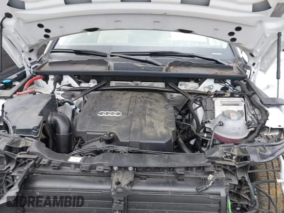 ✅ 2024 Audi Q5 Premium • VIN: WA1ABAFY0R2050717 • Lot: 43569370. Wystawiony na IAAI z przebiegiem 28 722 mil. Bezpłatny archiwum sprzedaży aukcyjnych z USA i szczegółowy raport historii pojazdu na DreamBid. Zdjęcie 10.