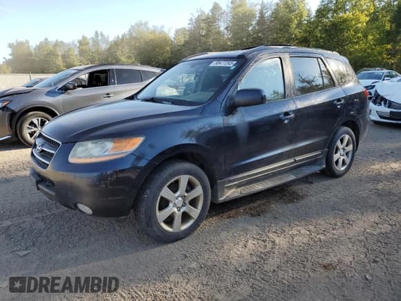 ✅ 2008 Hyundai Santa Fe SE • VIN: 5NMSH73E58H182632 • Lot: 80477245. Listed on Copart with 298,829 mi. Free auction sales archive from the USA and detailed vehicle history report at DreamBid. Image 1.