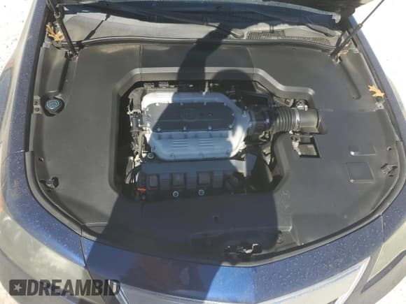 ✅ 2013 Acura TL Advance • VIN: 19UUA8F71DA010782 • Lot: 48439525. Wystawiony na Copart z przebiegiem Nie podano. Bezpłatny archiwum sprzedaży aukcyjnych z USA i szczegółowy raport historii pojazdu na DreamBid. Zdjęcie 12.