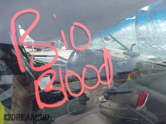 ✅ 2005 Ford Excursion Eddie Bauer • VIN: 1FMNU44P85ED47834 • Лот: 41719653. Опубликован ранее на IAAI с пробегом Не указан. Бесплатный доступ к архиву аукционных продаж из США и подробный отчёт об истории автомобиля на DreamBid. Изображение 8.