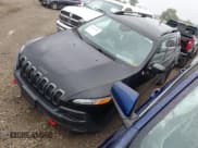 ✅ 2016 Jeep Cherokee Trailhawk • VIN: 1C4PJMBB1GW178363 • Lot: 43019348. Wystawiony na IAAI z przebiegiem 207 793 mil. Bezpłatny archiwum sprzedaży aukcyjnych z USA i szczegółowy raport historii pojazdu na DreamBid. Zdjęcie 2.